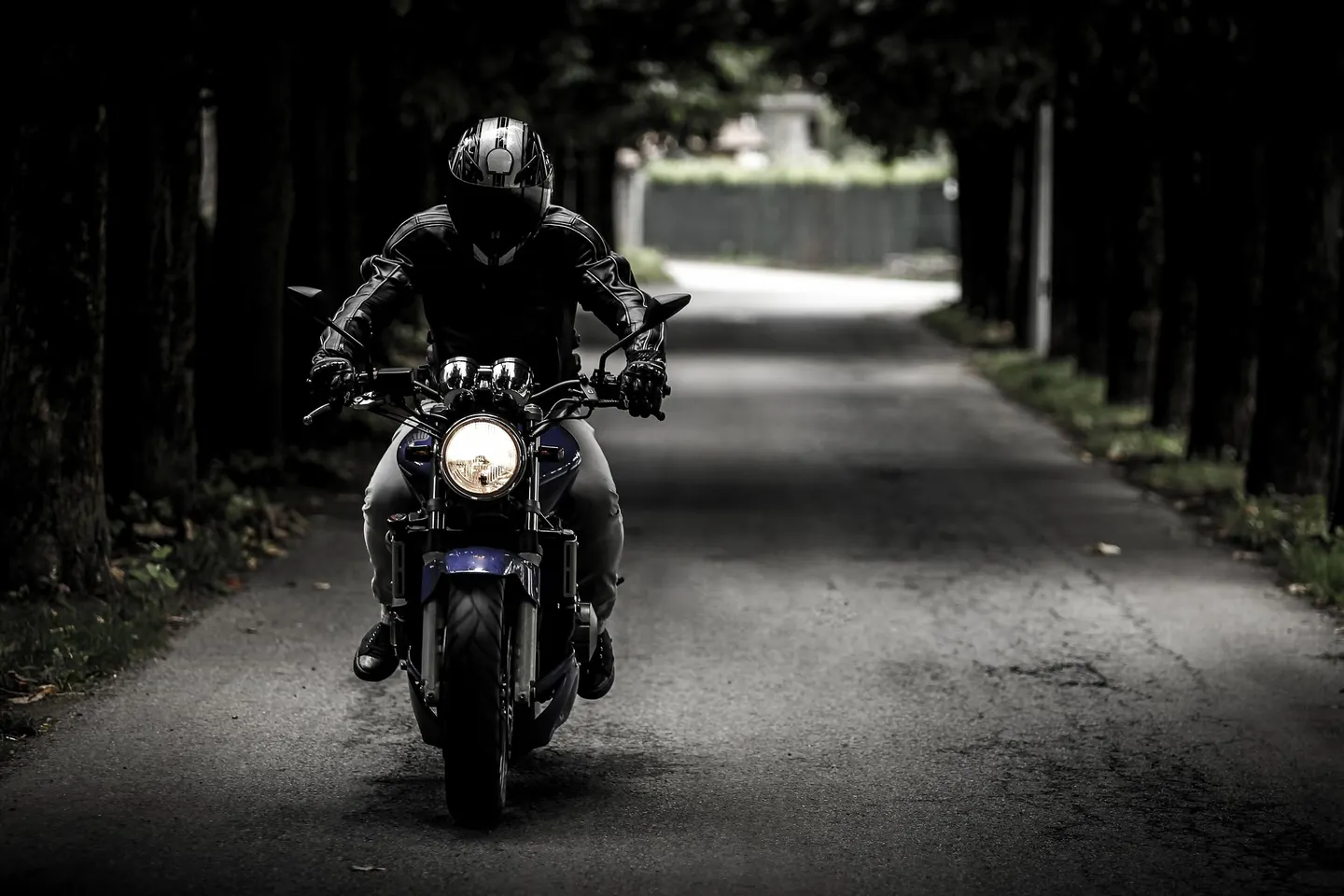 Motard équipé d'un casque sur une route bordée d'arbres